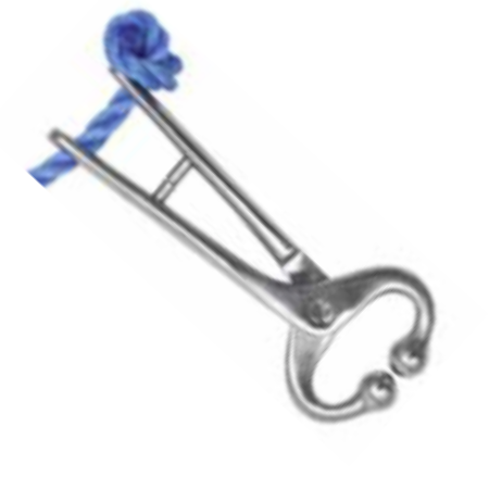 Nose grips for restraining cattle.