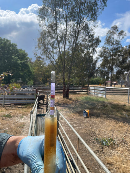 Hydrometer measuring concentration of zinc sulphate in a footbath.