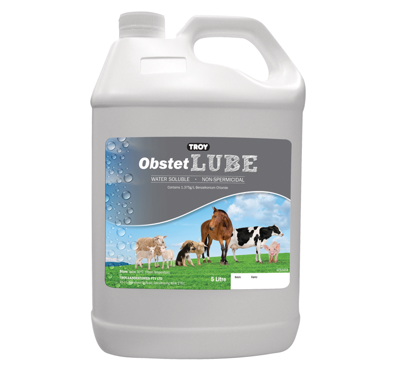 Obstetrical lubricant 5L for treatment of dystocia in ewes.