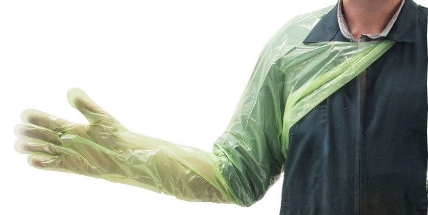 Shoulder length plastic gloves with neck loop.