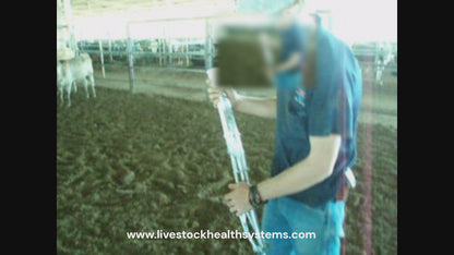 Using the Westergun spring-fired pole syringe