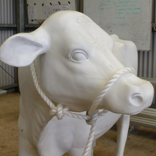 The Jubb catching rope fashioned into a halter